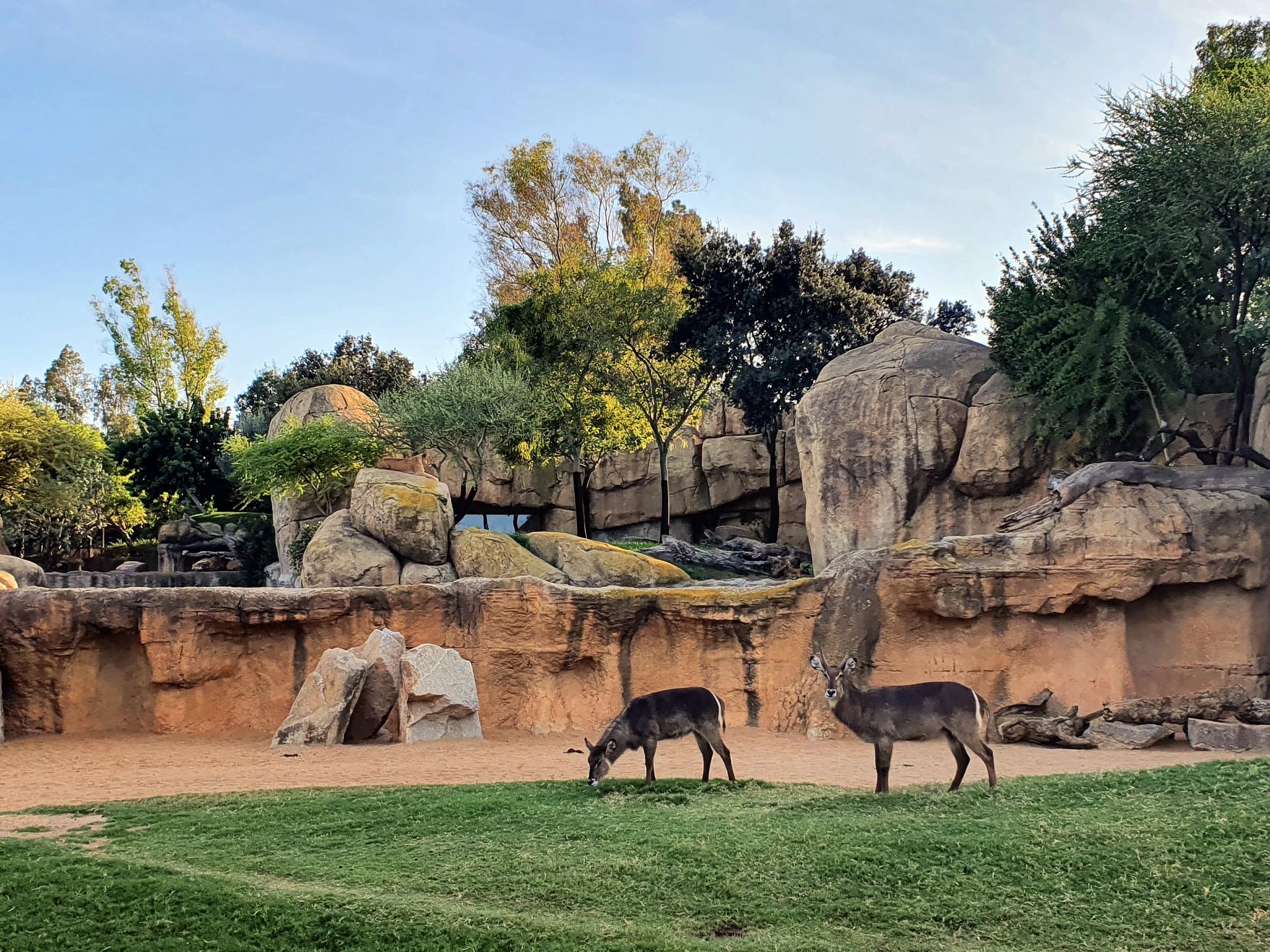 Bioparc Valencia